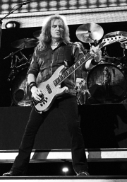 David Ellefson