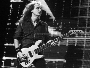 Davie Ellefson