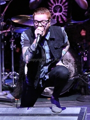 Matty Mullins