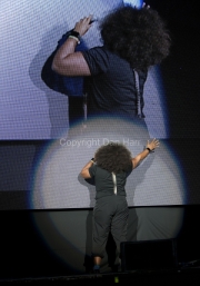 Reggie Watts