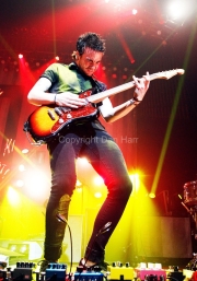 Taylor York