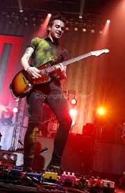 Taylor York