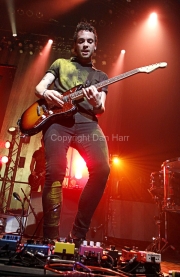 Taylor York