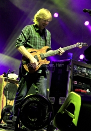 Trey Anastasio