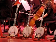 Steve Martin's Banjos