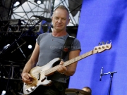 Sting