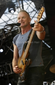 Sting