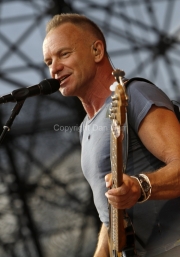 Sting