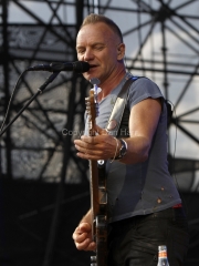 Sting