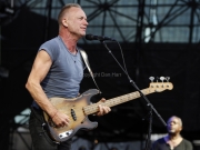 Sting