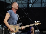 Sting