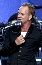 Sting