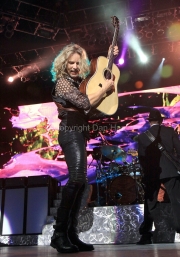 Tommy Shaw