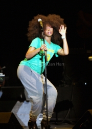 Erykah Badu