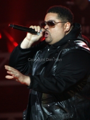 Heavy D