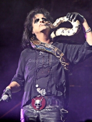 Alice Cooper