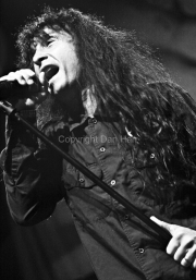 Joey Belladonna