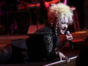 Cyndi Lauper