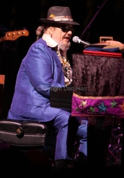 Dr. John