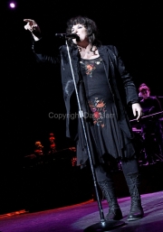 Ann Wilson