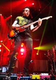 Taylor York