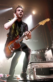 Taylor York