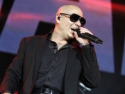 Pitbull