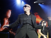 Pitbull