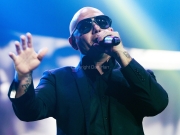 Pitbull