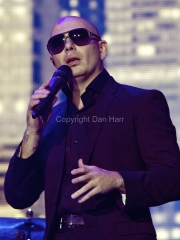 Pitbull