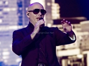 Pitbull