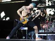 Michael "Flea" Balzary