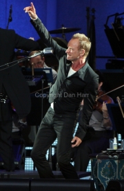 Sting