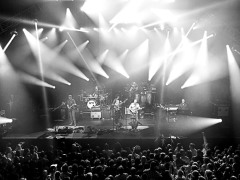 Umphrey's McGee