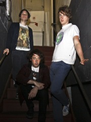 The Wombats